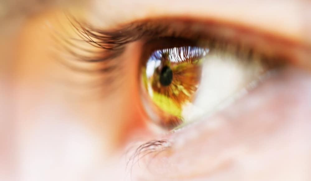 Title Auge_Female eye